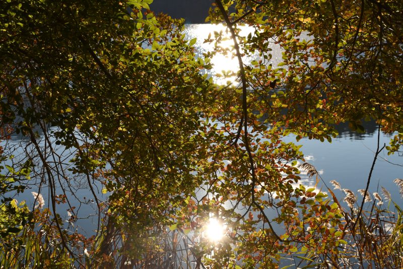 719 2023 ringraziamenti