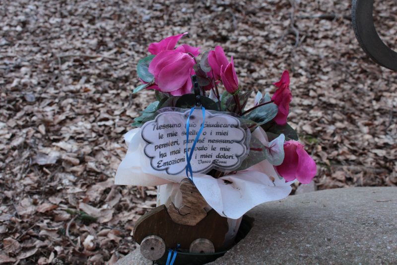 789 festa della Donna 8 marzo&nbsp;2024