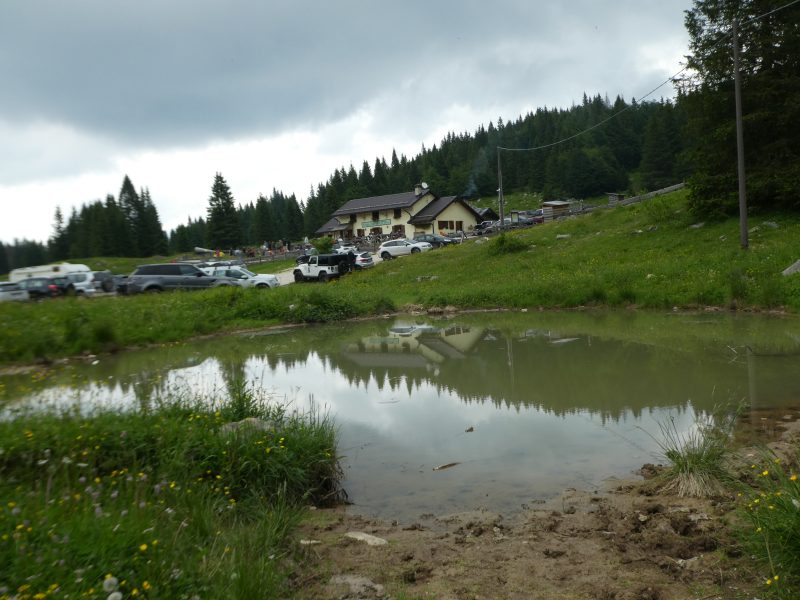 805 Labirinto di Costa&nbsp;Brustolà