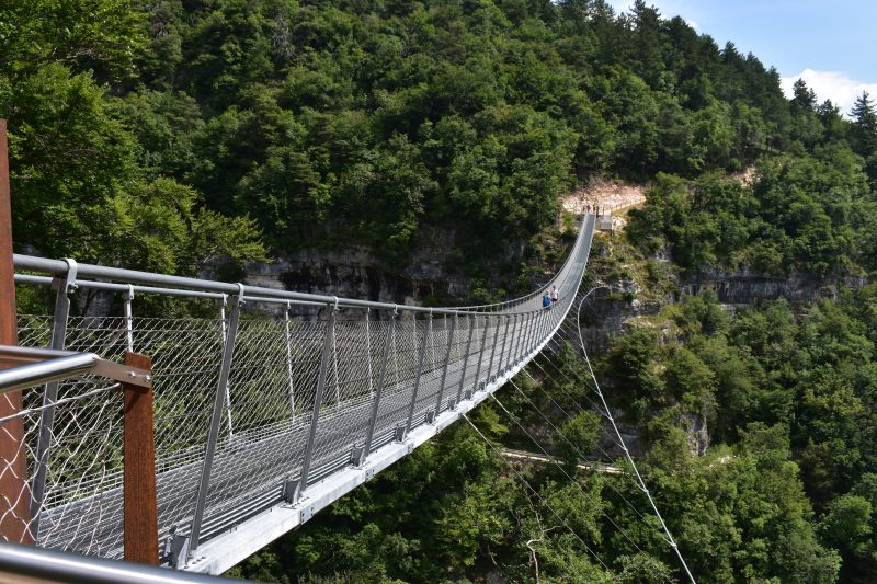 806 Monte di&nbsp;Mezzocorona