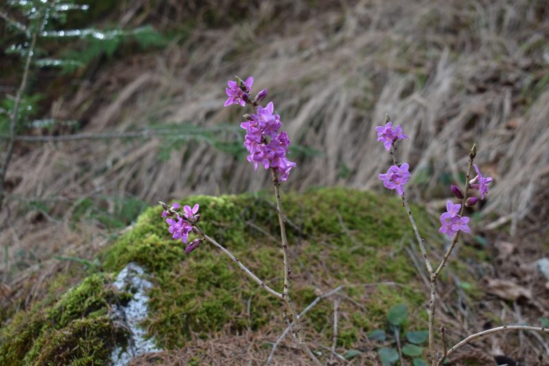 819 Maria’s Live&nbsp;Spaces